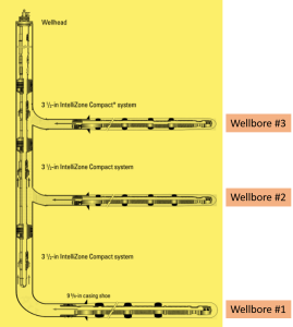 Figure 1 Multi lateral well